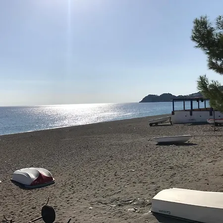 Giorgiada *